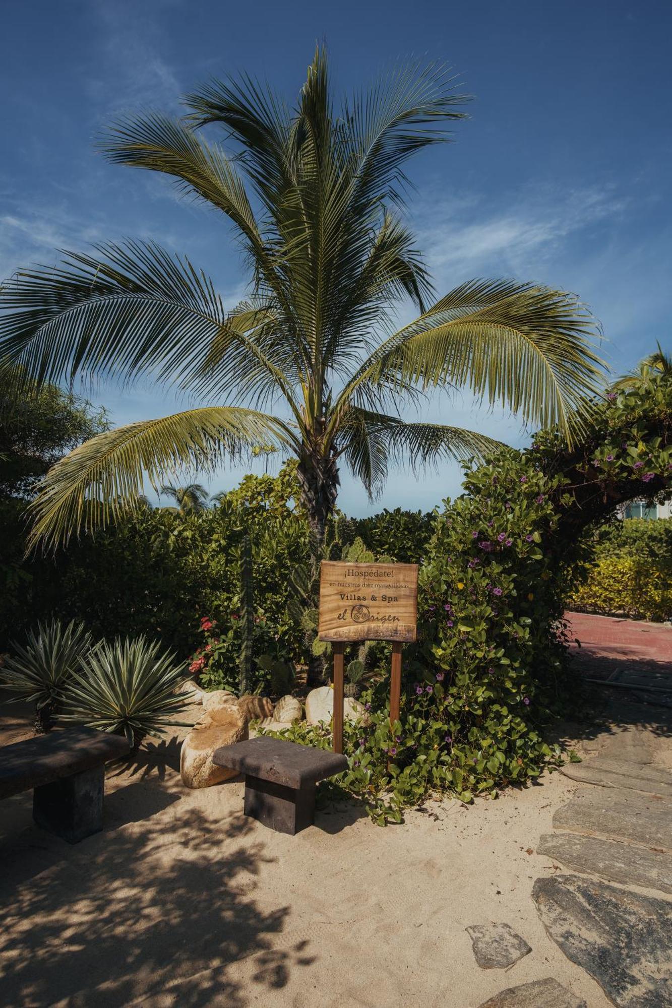 El Origen Villas & Spa-Puerto Escondido Puerto Escondido  Exterior foto